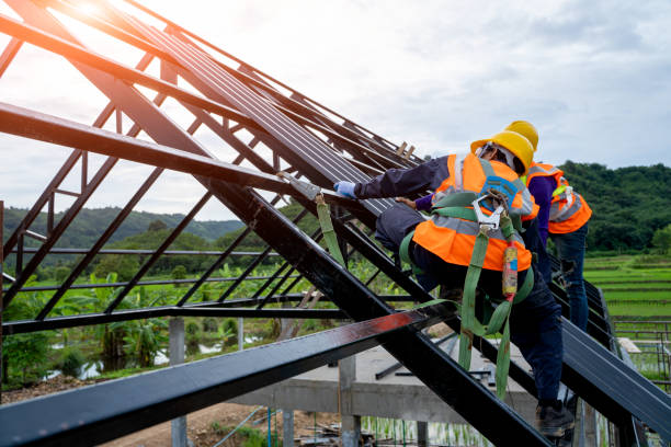 Best Roof Gutter Cleaning  in Wentzville, MO