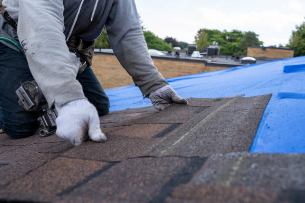 Best Flat Roof Repair Services  in Wentzville, MO