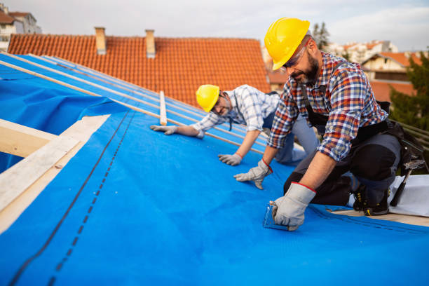 Professional Roofing Contractor in Wentzville, MO