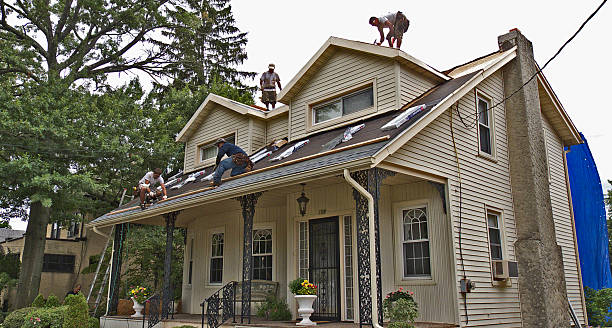 Best Metal Roofing Contractor  in Wentzville, MO
